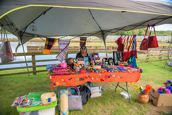 Boyd Park Festival 2018-20