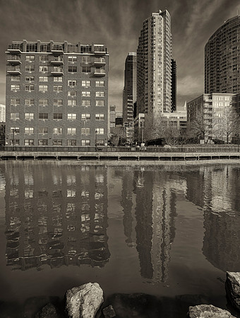 Reflections in B&W-11
