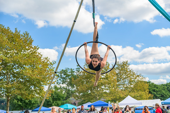 Boyd Park Festival 2018-60