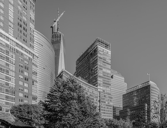 NRP View B&W