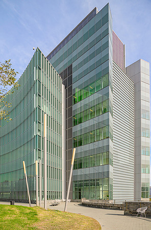CCNY-19