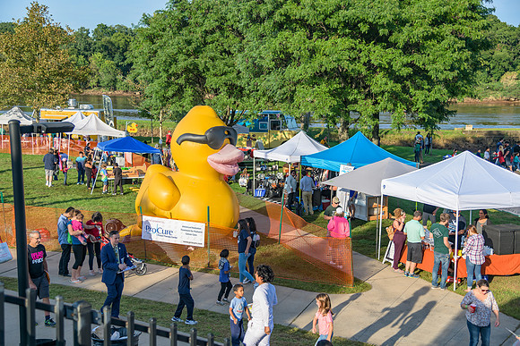 Boyd Park Festival 2018-294
