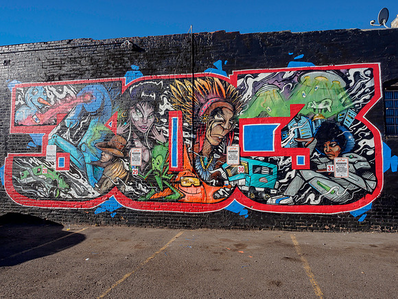 Denver Rhino Murals-7