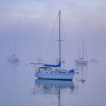 Blue Harbor_1x1