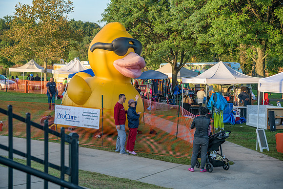 Boyd Park Festival 2018-340