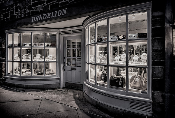 Princeton Dandelion I B&W