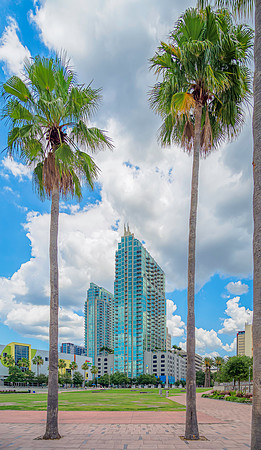 Tampa-3