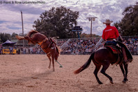 Ancient City Pro Rodeo Leica HiRes-9