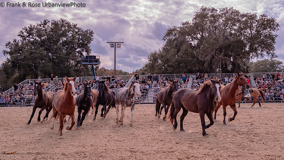 Ancient City Pro Rodeo Leica HiRes-10