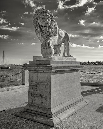 St Augustine Lion_16x20