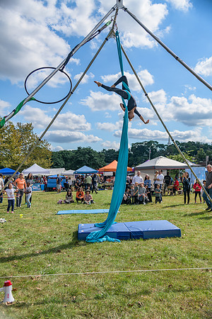 Boyd Park Festival 2018-49