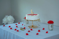 Anita_and_Victor_Wedding-12