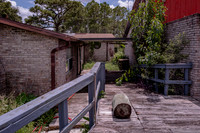 16229 Shellcracker Exterior-12
