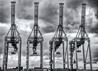 Cranes, Elizabeth, NJ