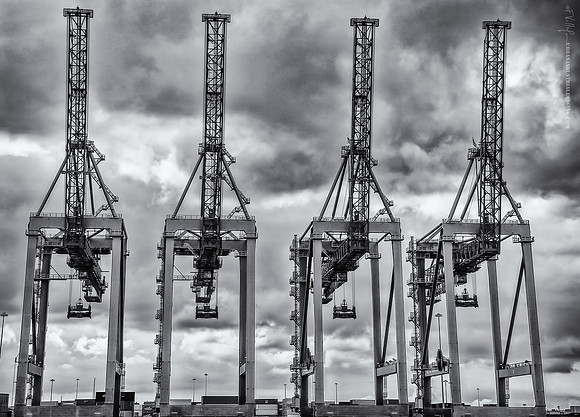Cranes, Elizabeth, NJ