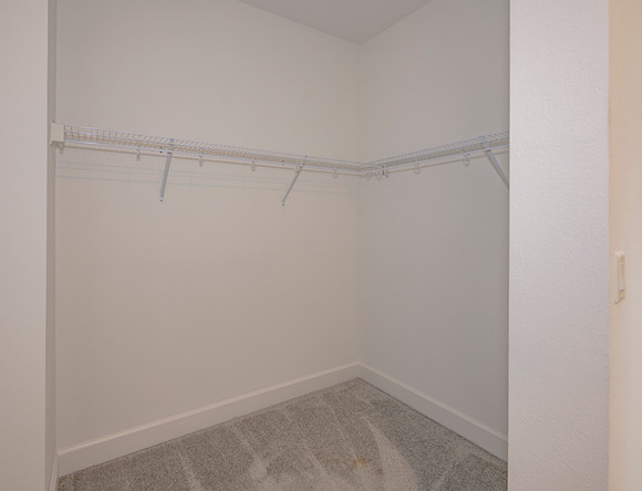 132 Millenia Dr Interiors Lo_Res-50