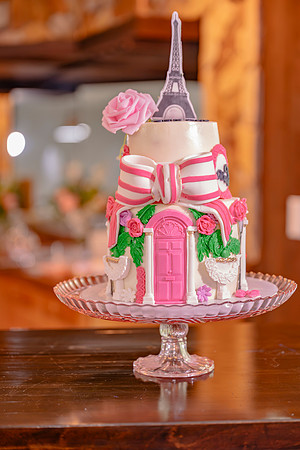 Anshika Sweet 16 Hi_Res-44