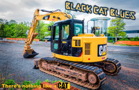 Black Cat Blues