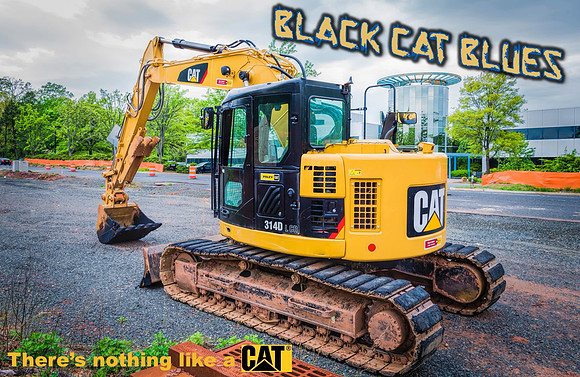 Black Cat Blues