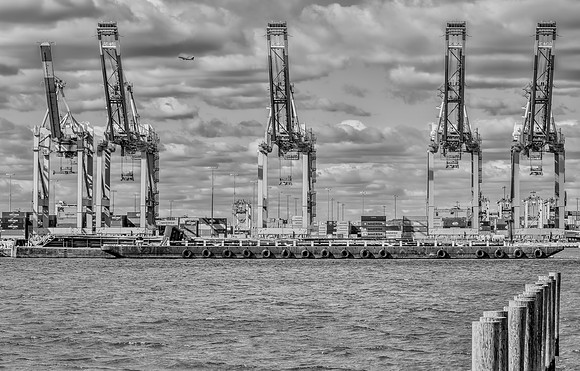 Gritty Elizabeth SeaPort
