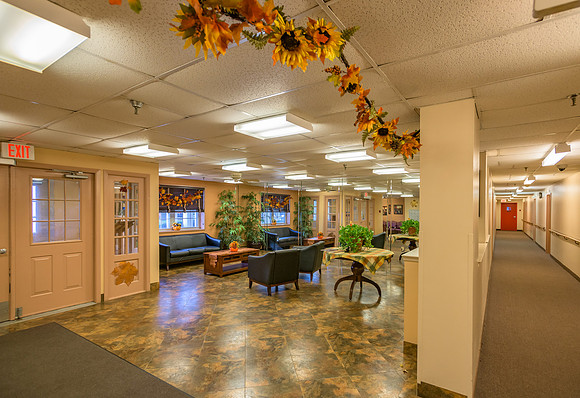 Metuchen Senior Citizens-3