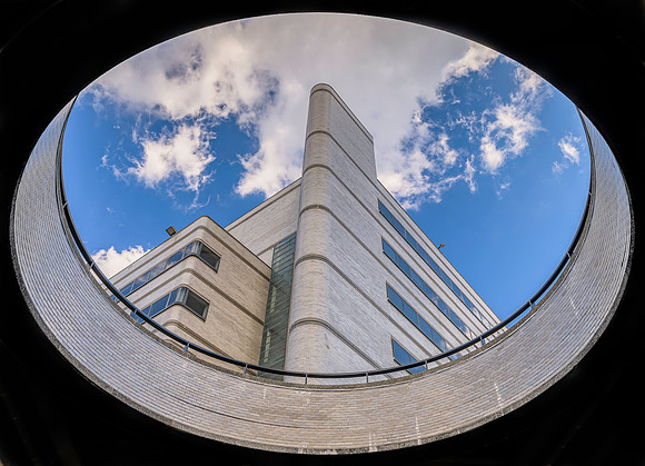 CCNY-6