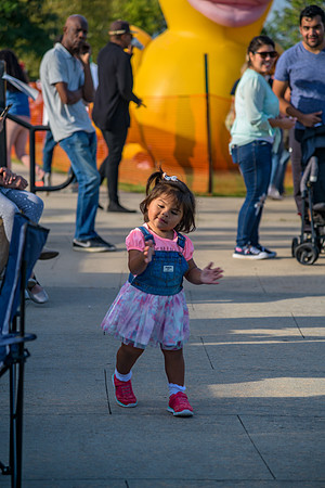 Boyd Park Festival 2018-266