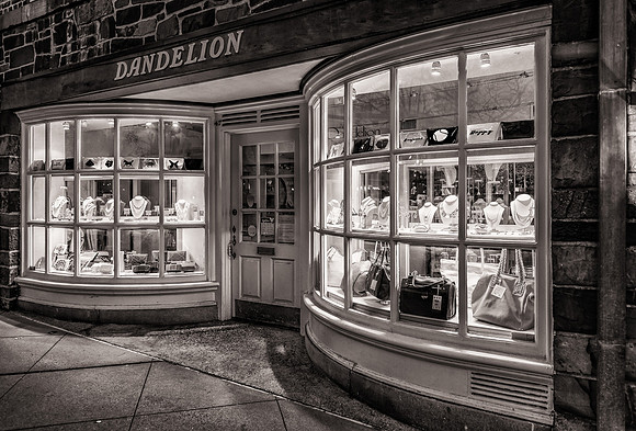 Dandelion Storefront in Princeton