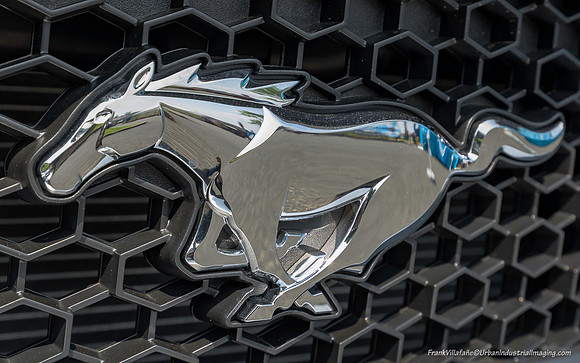 Mustang Logo