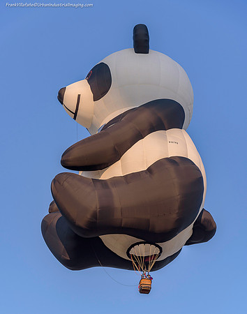 Pandy In Flight