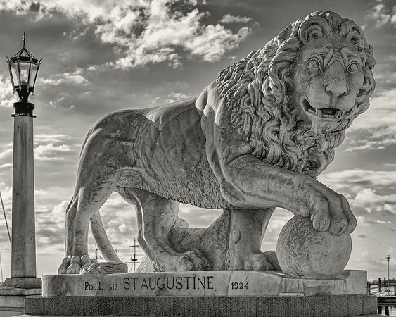 St Augustine Lion_20x16
