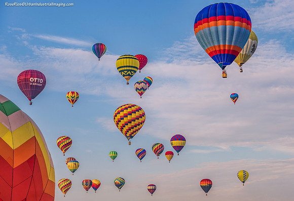 Balloons In Flight