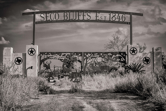 Texas B&W-7