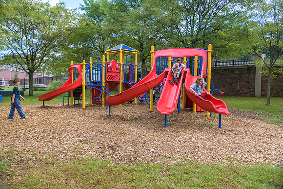 Boyd Park Festival 2018-101
