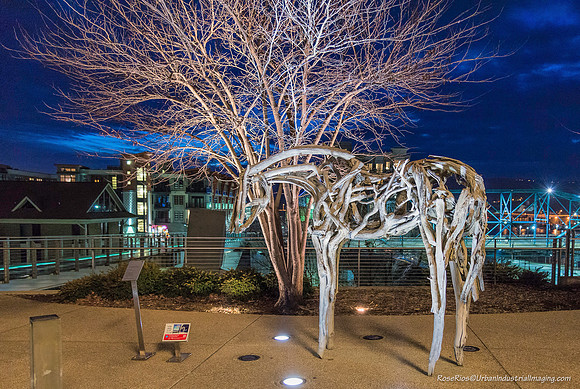 Chattanooga Thoroughbred