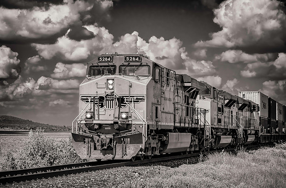 Texas B&W-2