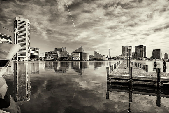 Reflections in B&W-7