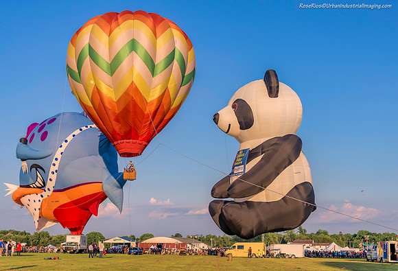 Piranha, Beautiful Balloon & Pandy Pre-Launch