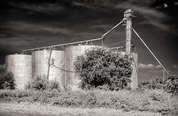 Texas B&W-6