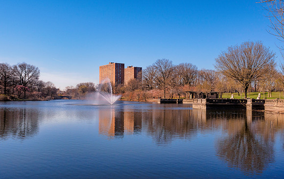 Branchbrook Park III
