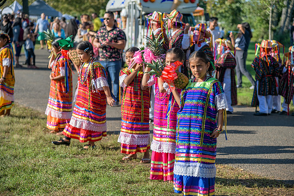 Boyd Park Festival 2018-241