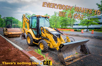 Everybody Wants To Be A Cat