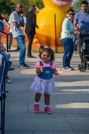 Boyd Park Festival 2018-267