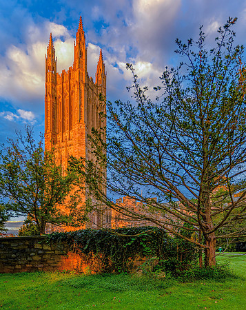 Princeton Sunrise Too