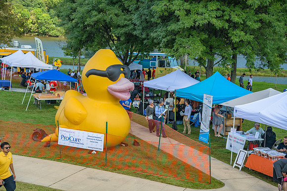 Boyd Park Festival 2018-7