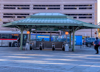 Jersey City IndieGrove-9