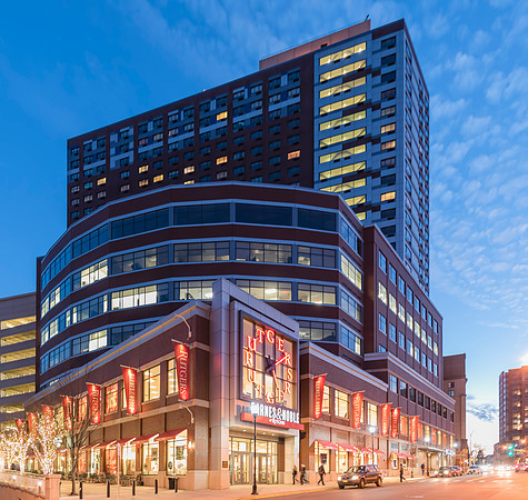 The Vue