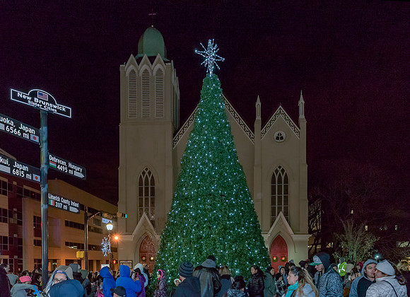 Tree Lighting-2