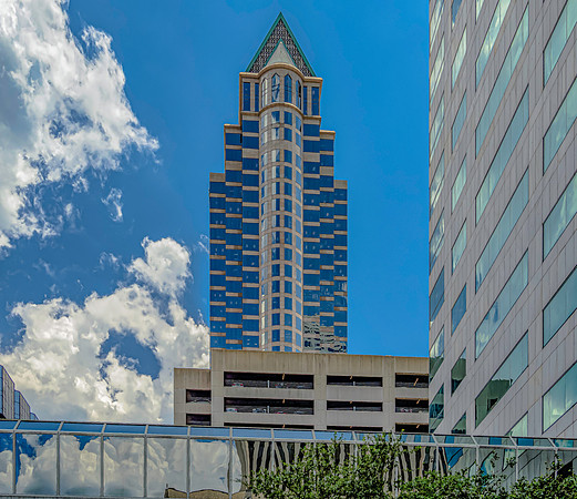 Tampa-19