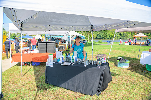 Boyd Park Festival 2018-9